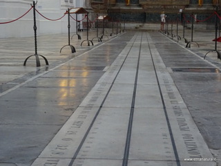 Nicolo Arena